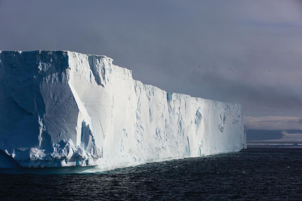 Zodiac Cruise with Silversea Expedition team