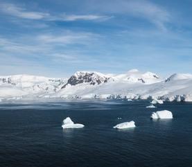 Cruise King George Island King George Island