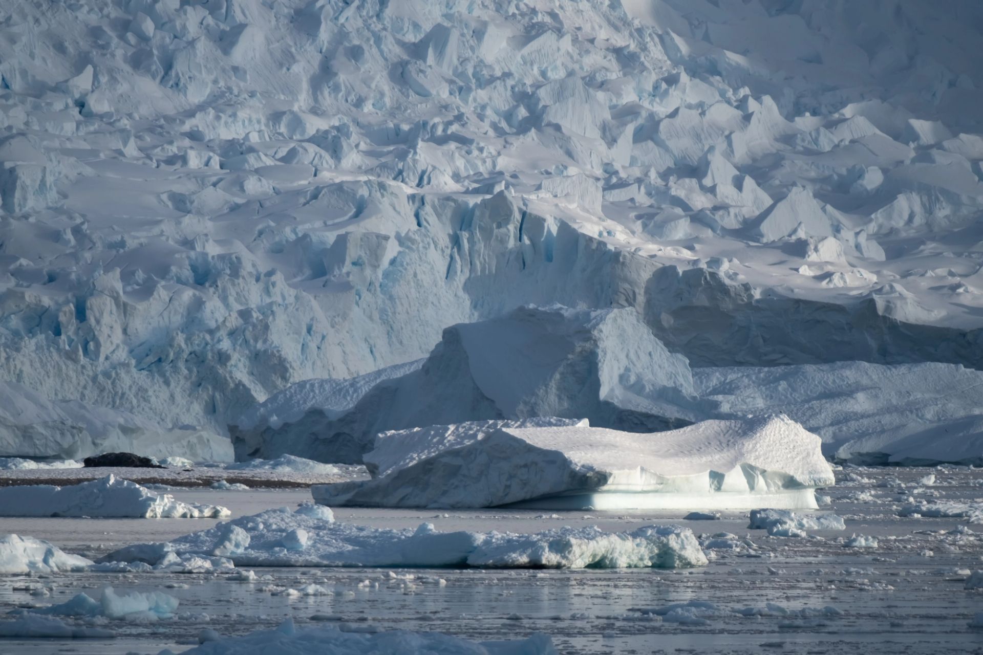 Isla King George a Puerto Williams