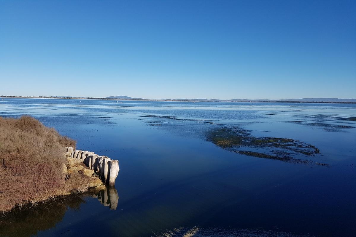 Tastes of Maremma: La Parrina Farm & Orbetello Lagoon