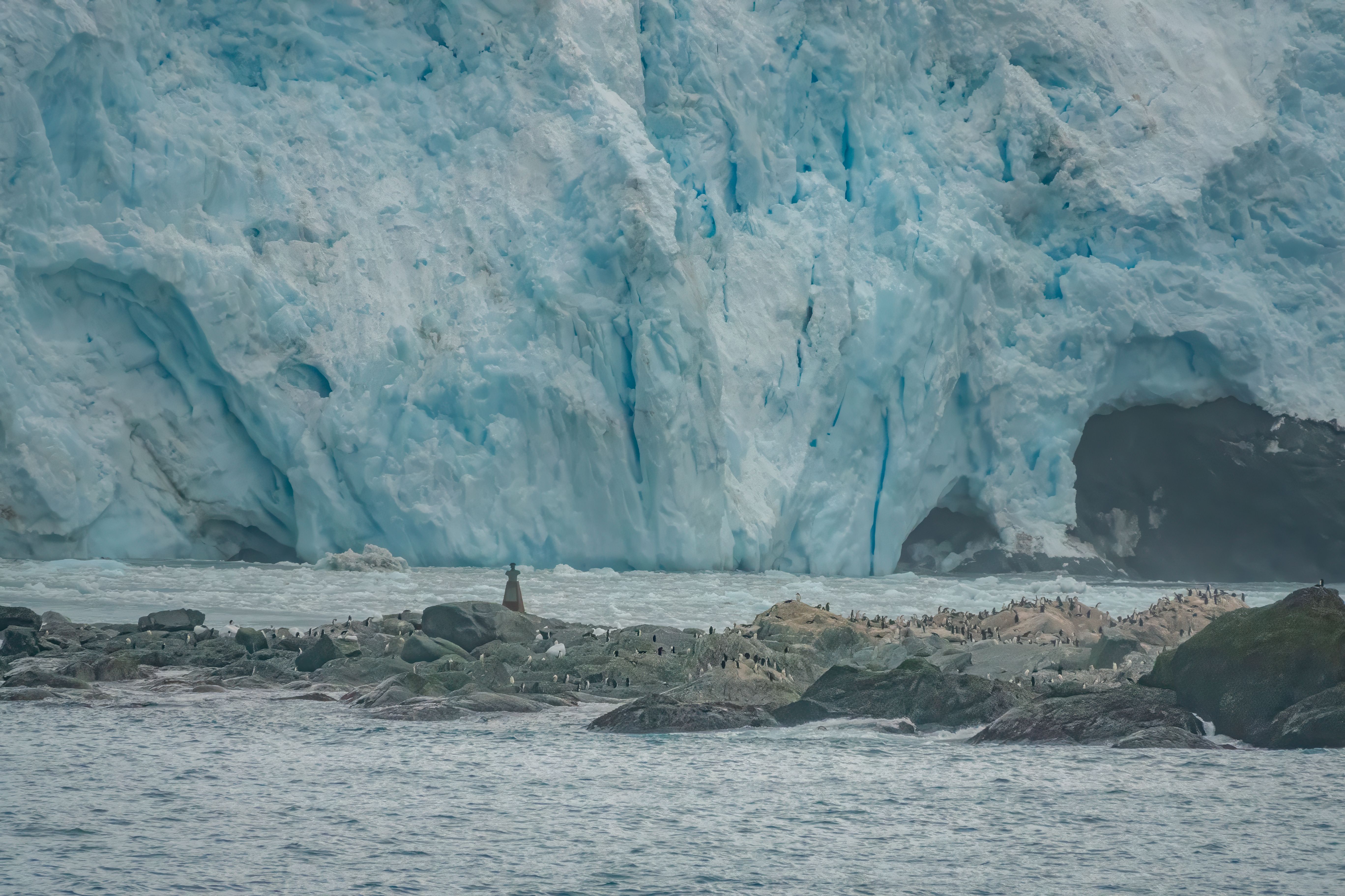 Puerto Williams to Puerto Williams