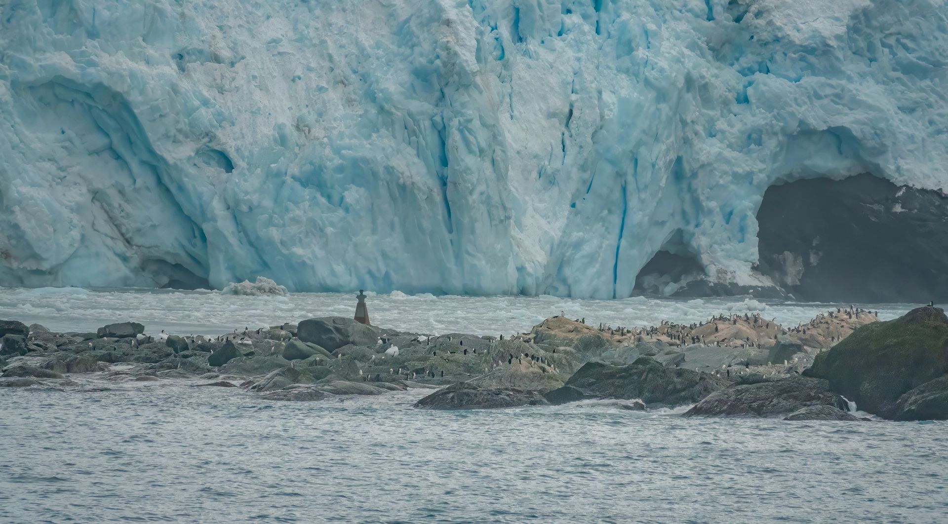 Puerto Williams to Puerto Williams