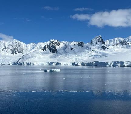 Cruise Puerto Williams Puerto Williams
