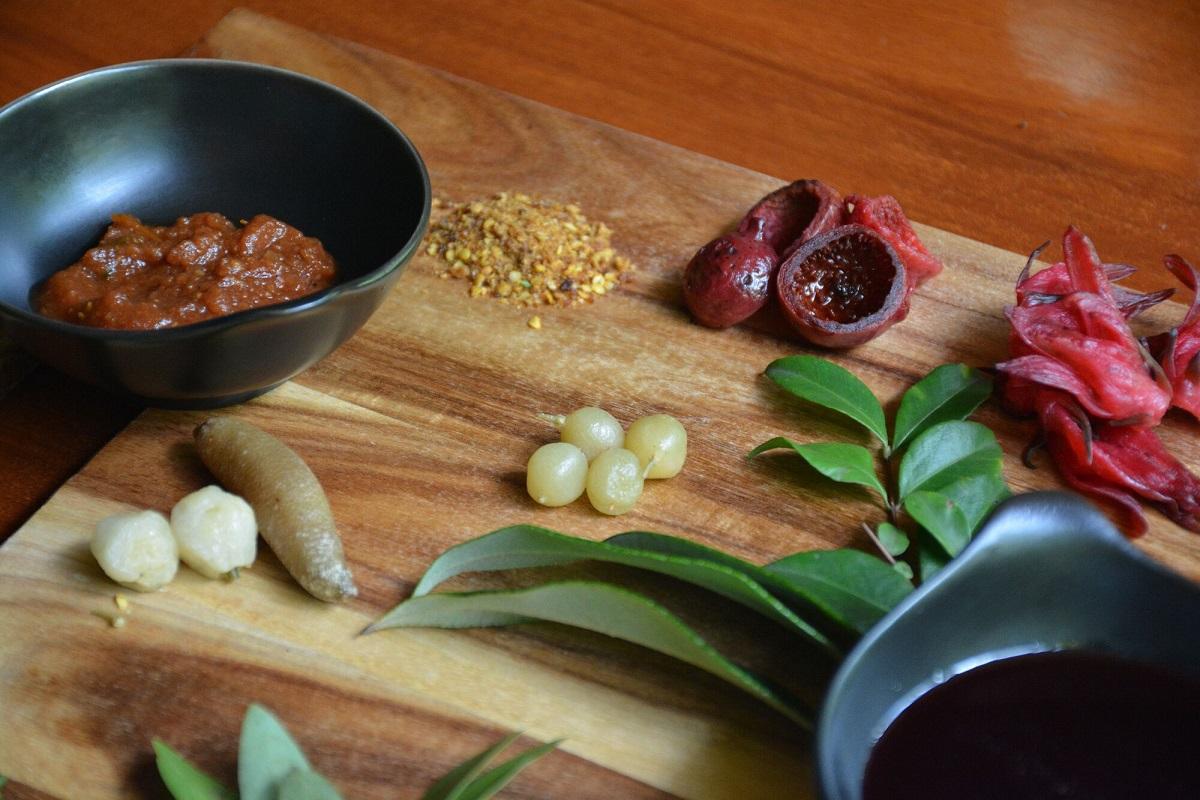Bush Tucker & Medicine Walk with a Ranger