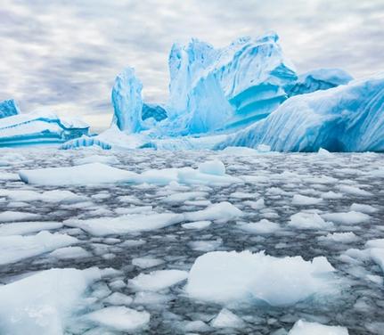 Cruise Puerto Williams Puerto Williams
