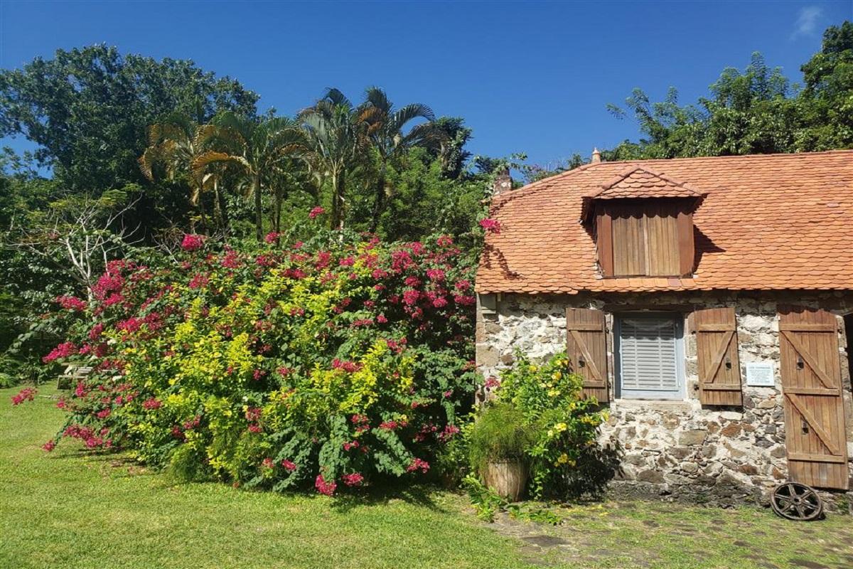 A Taste of Martinique