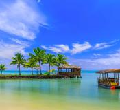 Apia