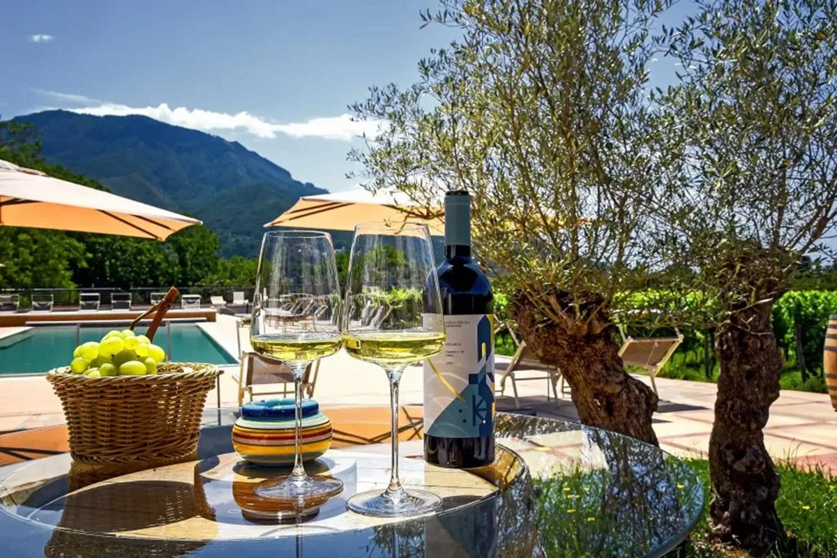 Salerno Vineyard Wine Tasting
