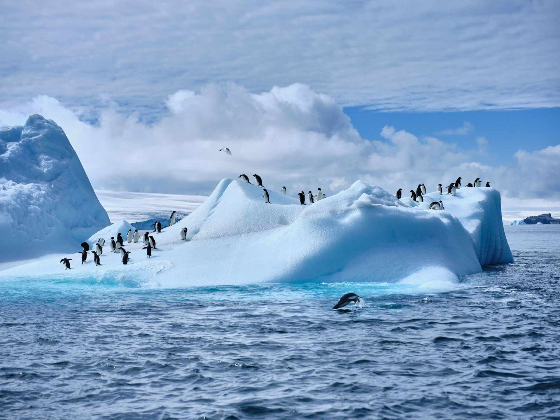 King George Island to King George Island