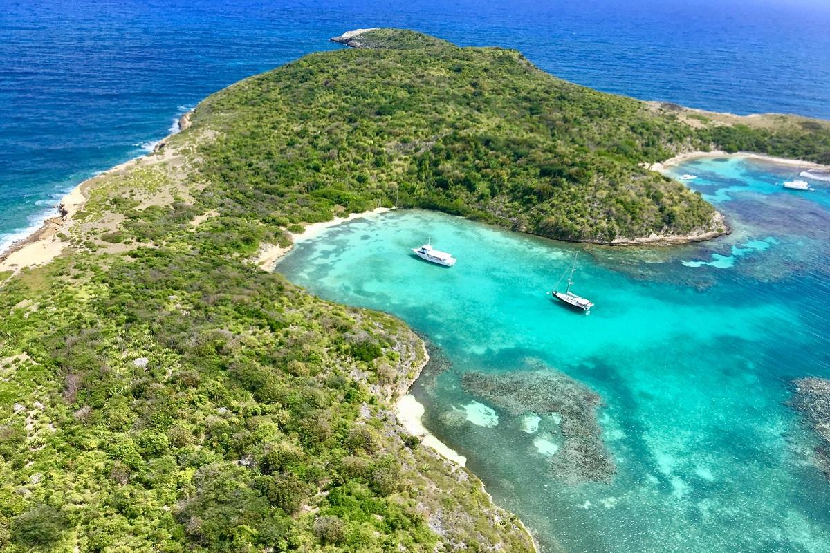 Full Day Catamaran Tour to Great Bird Island