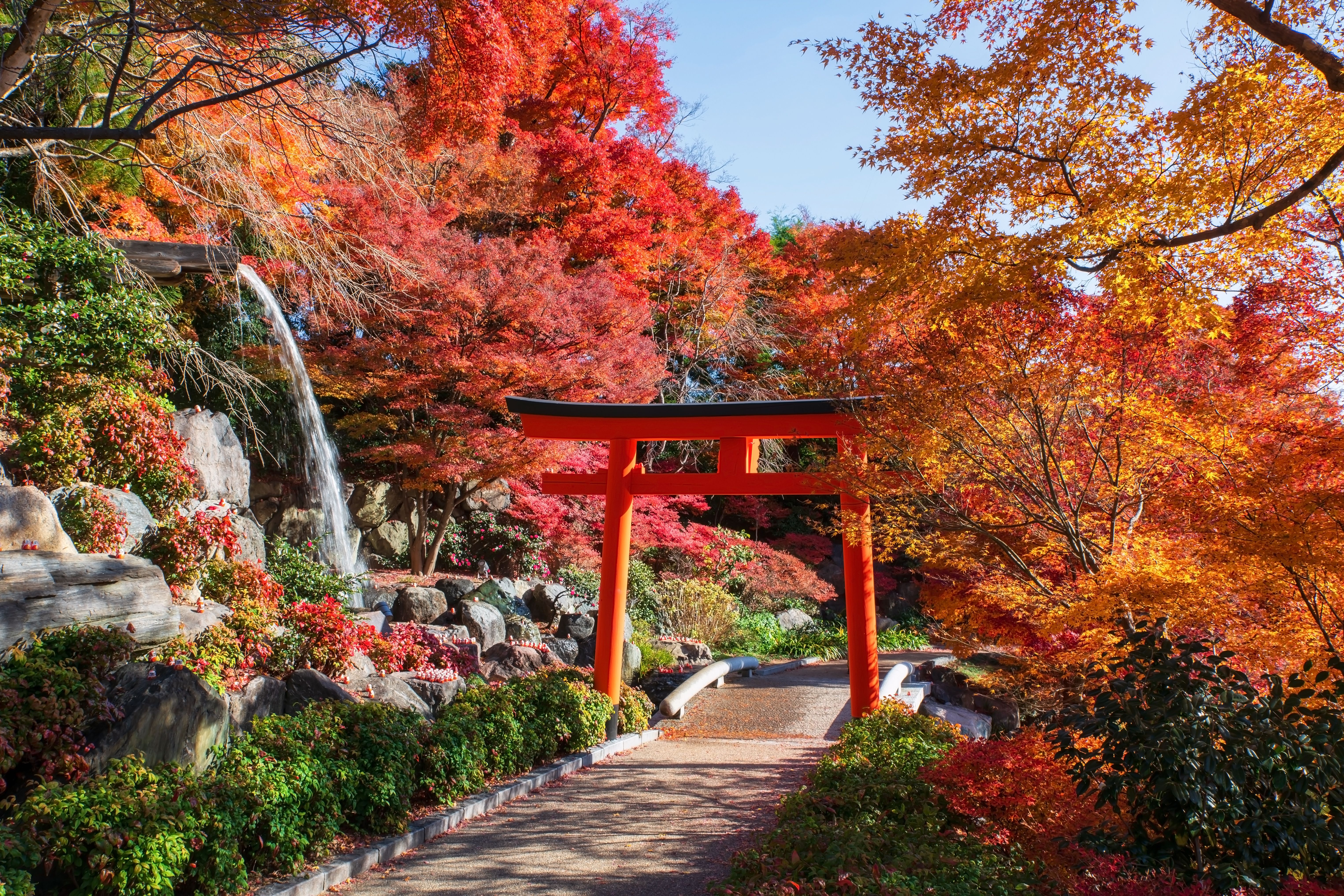 JAPAN IN AUTUMN
