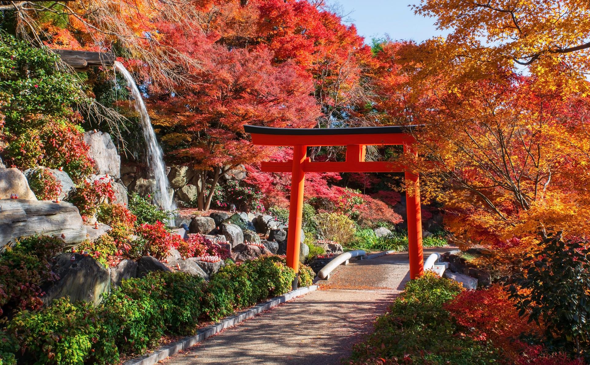JAPAN IN AUTUMN