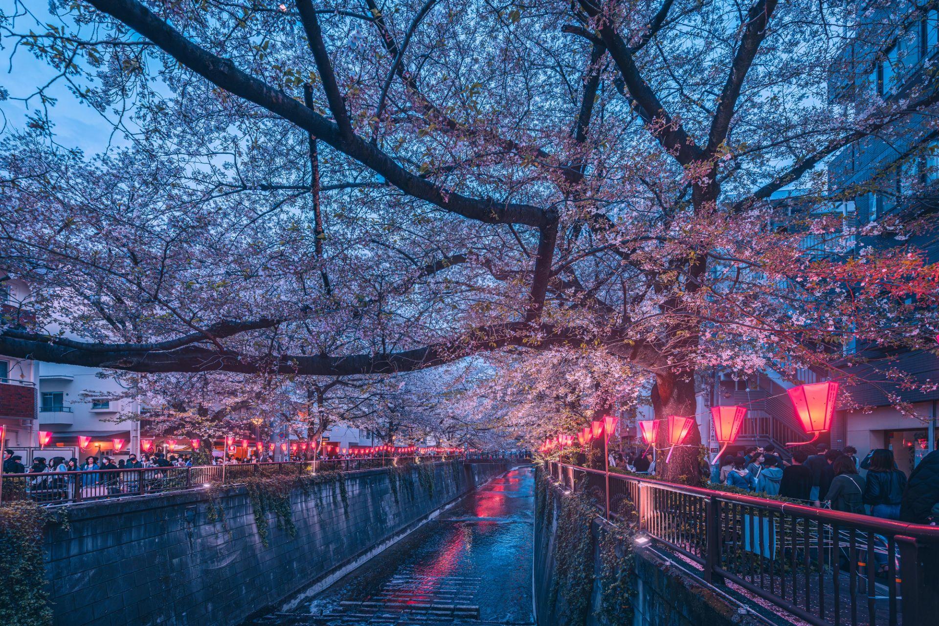 Incheon (Séoul) à Tokyo