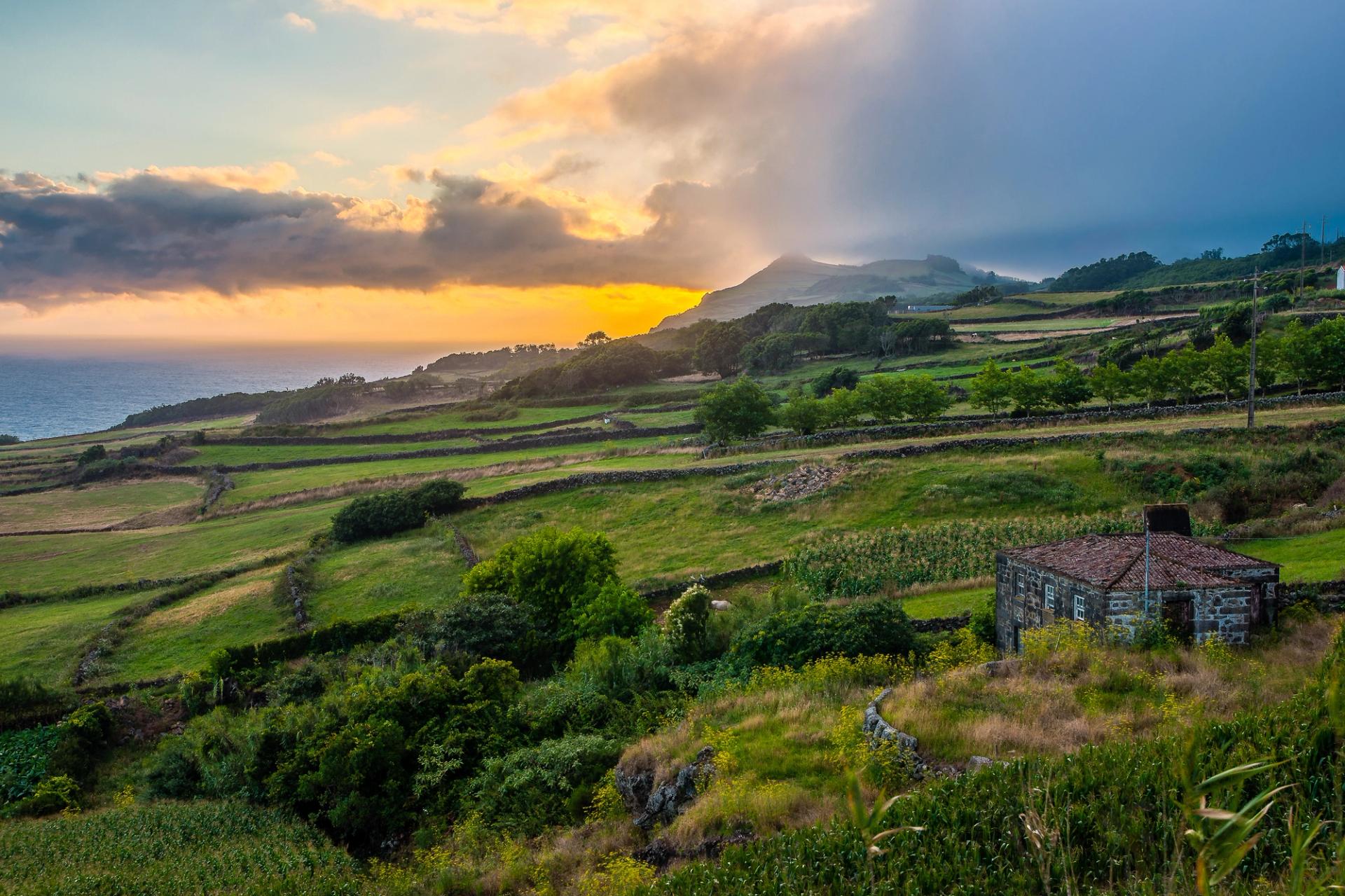RURAL PORTUGUESE CUISINE
