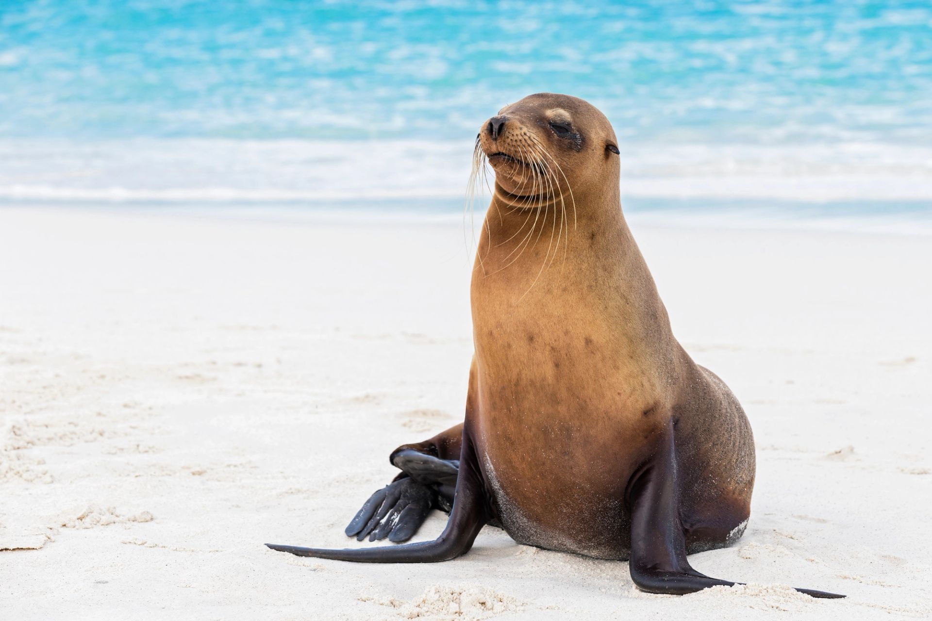 San Cristóbal, Galápagos a San Cristóbal, Galápagos