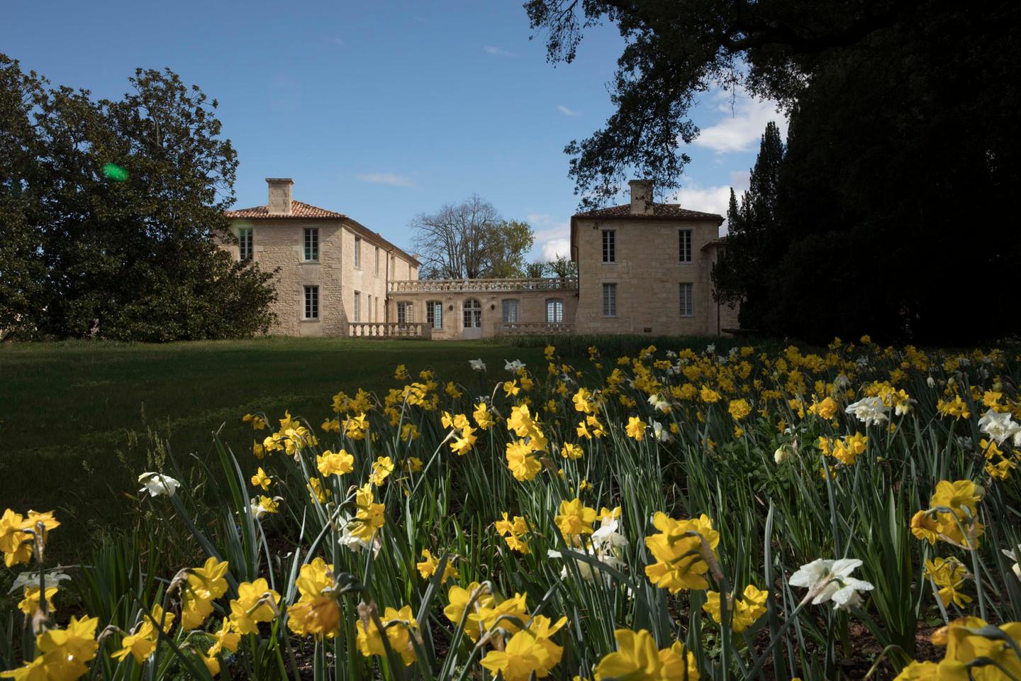 UNESCO World Heritage Saint Emilion village with food and wine pairing lunch at Château de Ferrand