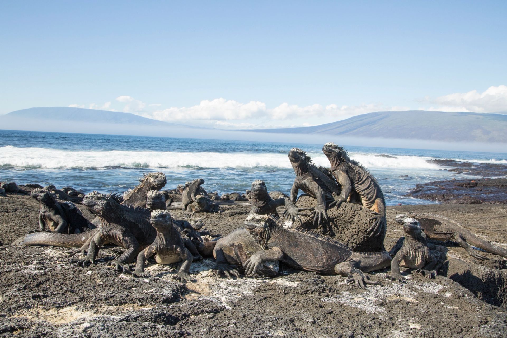 San Cristóbal, Galápagos nach San Cristóbal, Galápagos