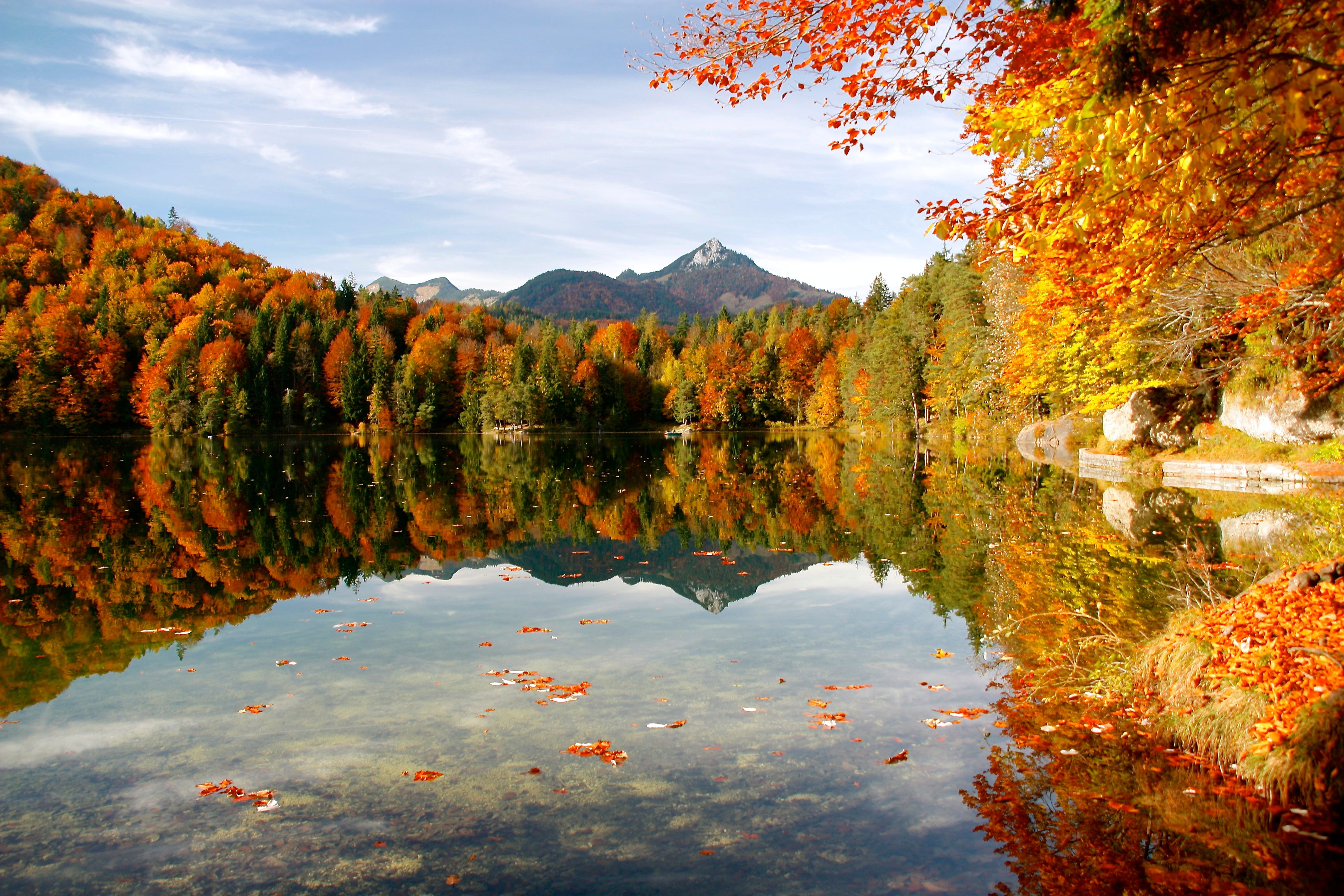 De Bayonne, New Jersey a Montreal
