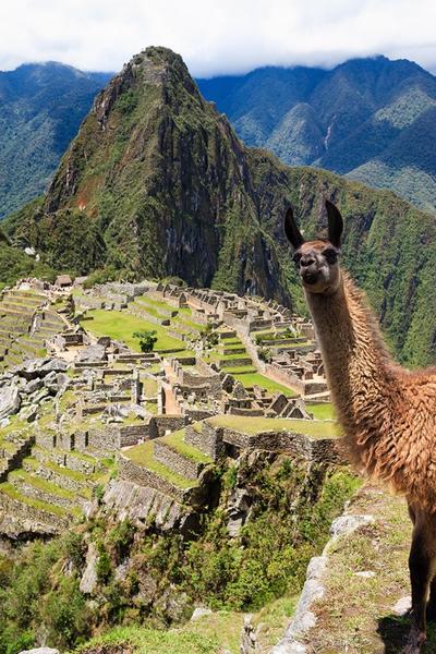 Machu Picchu et le meilleur de Barranco
