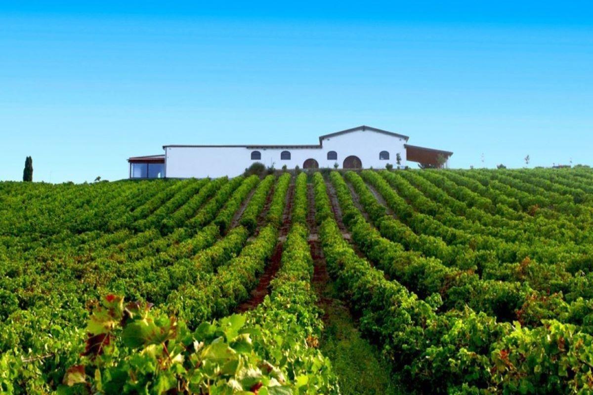 Scenic Cagliari & Audarya Winery Tour
