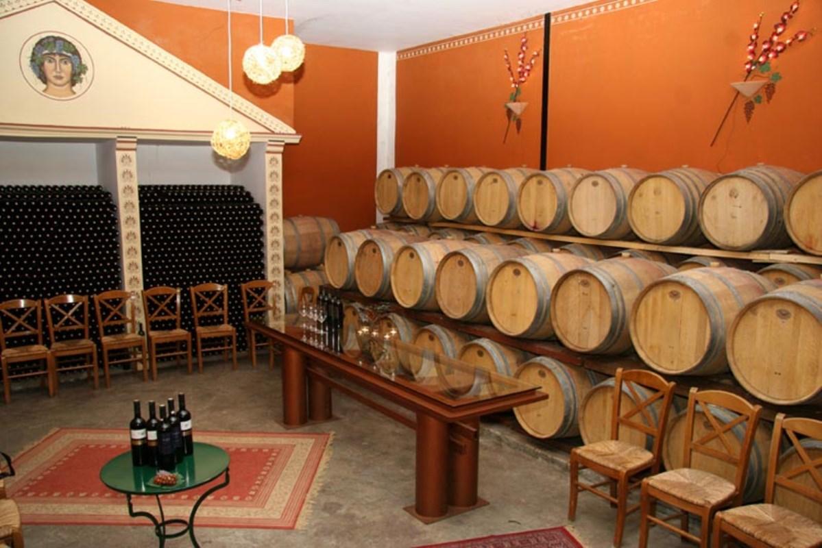 Wine Tasting in Nemea