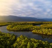 Cruise Amazon River