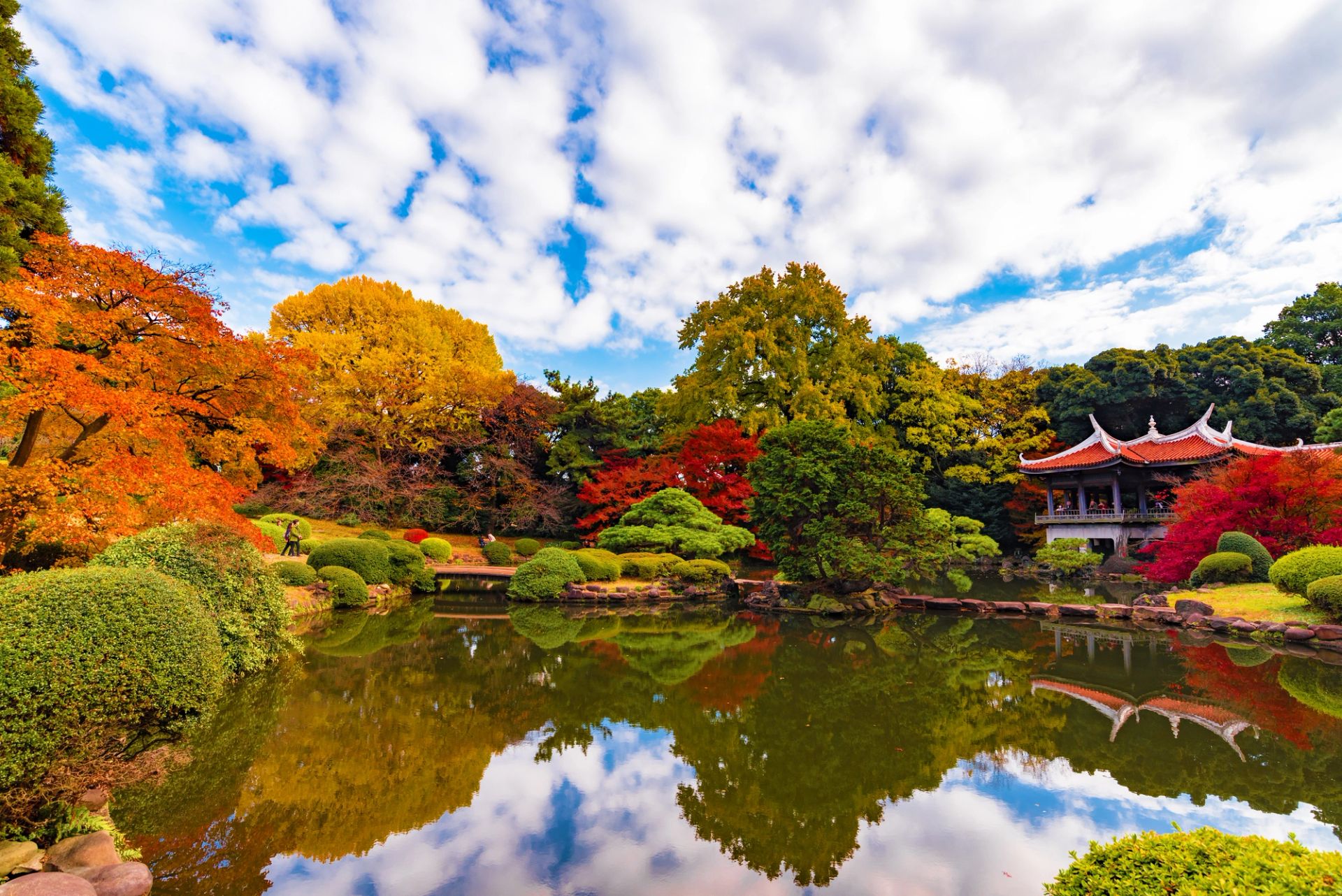 Tokyo to Tokyo