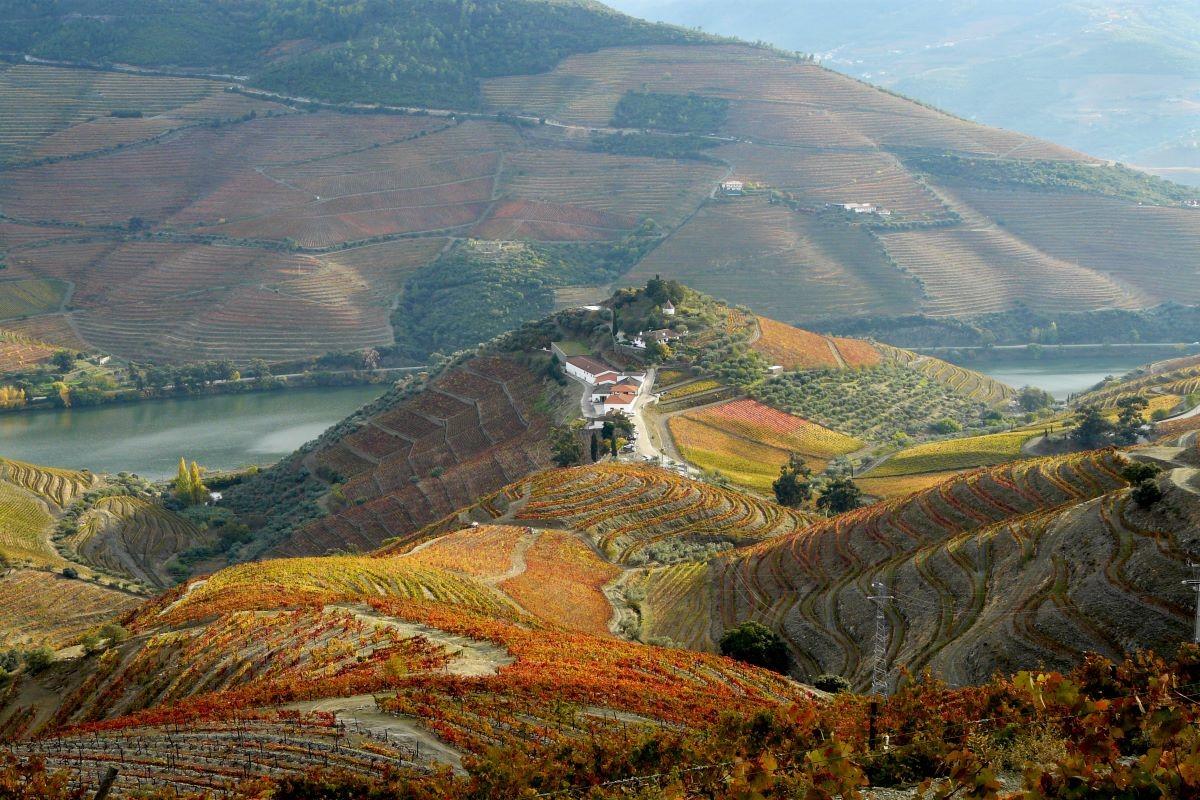 Douro Valley Wine Tour