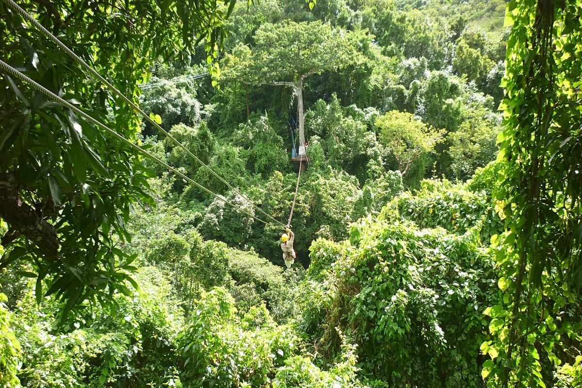 Zipline Adventure