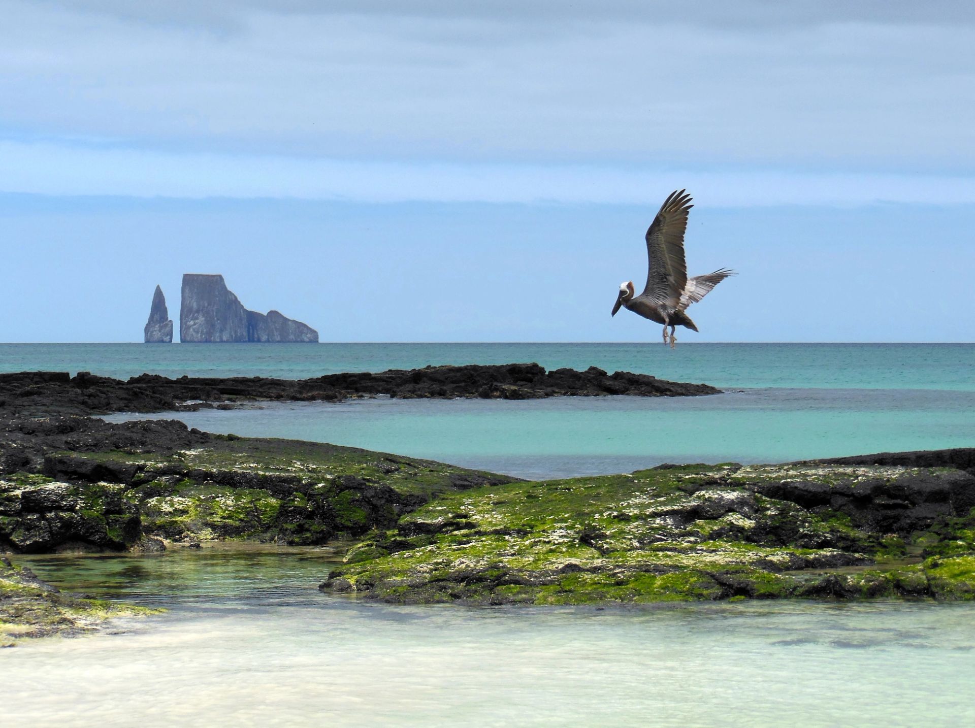 San Cristóbal, Galápagos a San Cristóbal, Galápagos