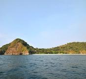 Shark Island