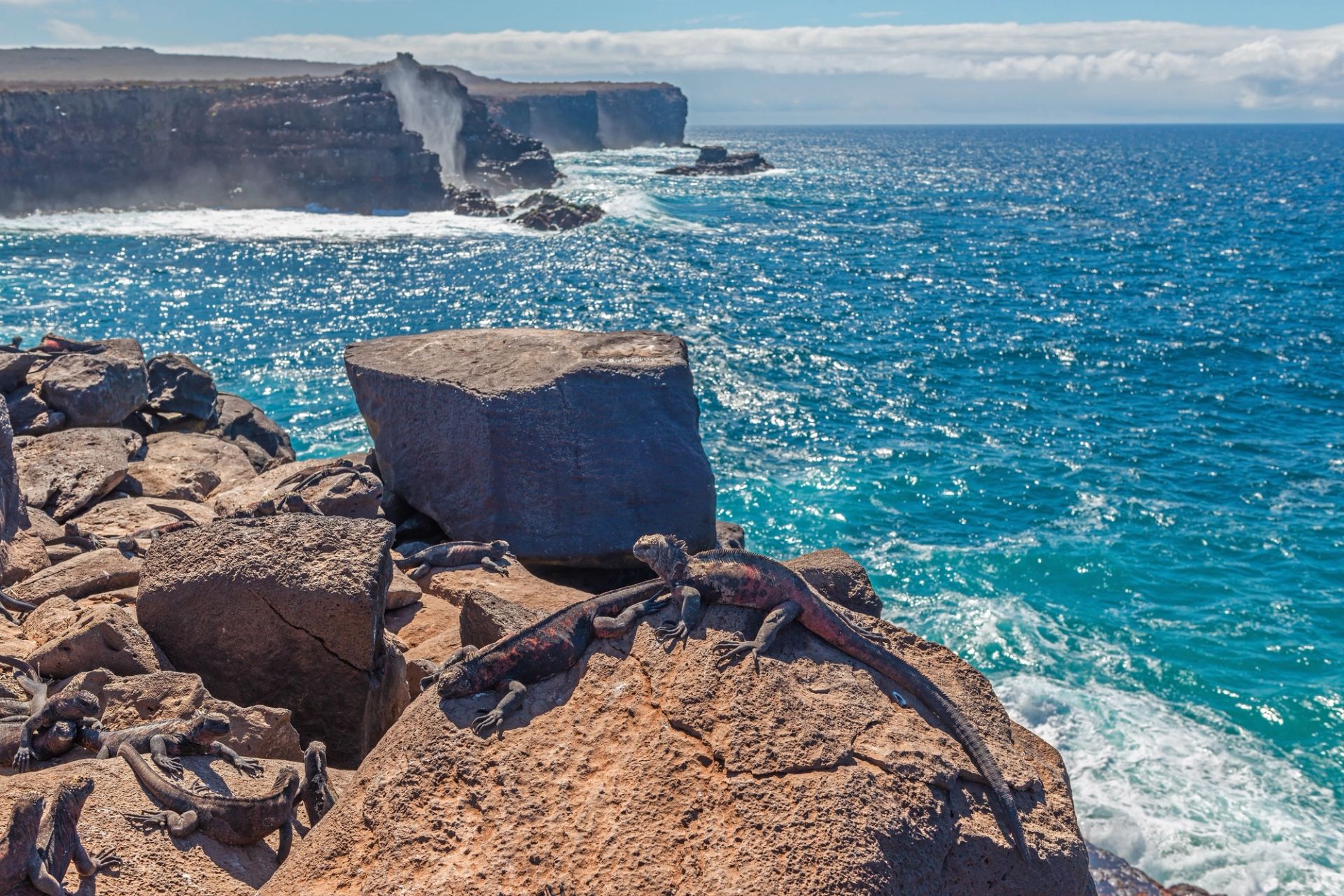 San Cristóbal, Galápagos à San Cristóbal, Galápagos