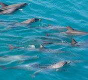 Yampi Sound, Kimberley, Western Australia