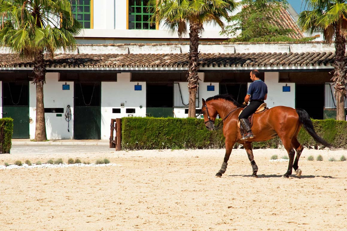 Royal Equestrian School & Show