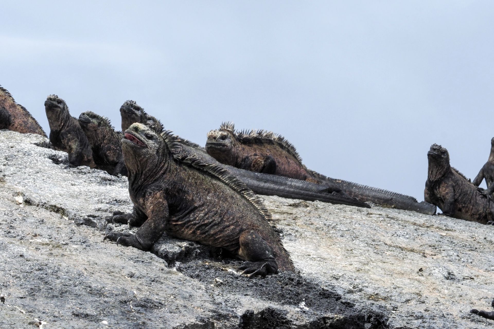 San Cristóbal, Galápagos nach San Cristóbal, Galápagos
