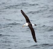 Drake Passage