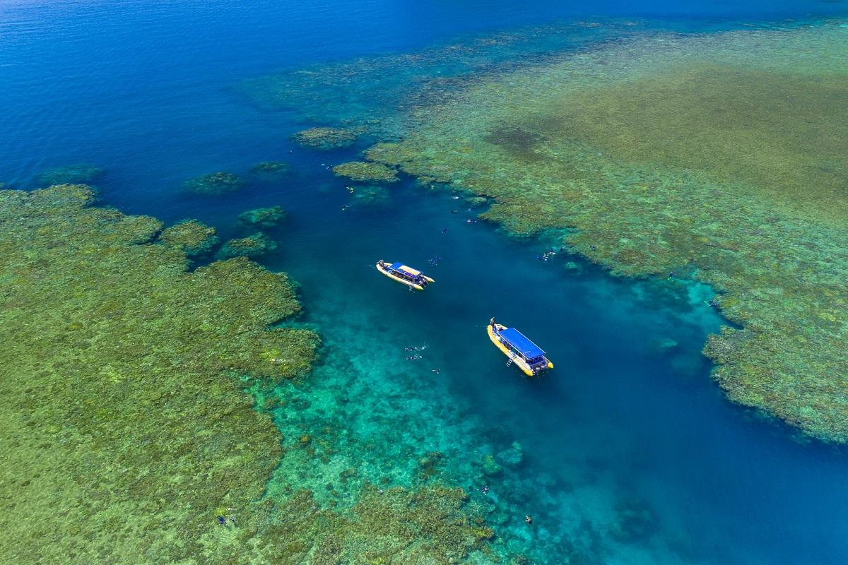 Snorkel Safari
