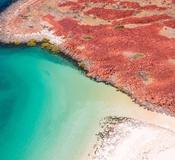 Expedition Dampier Archipelago