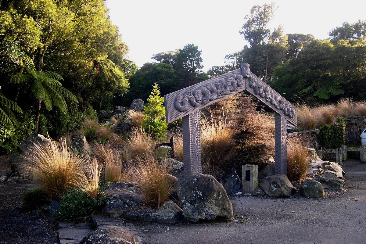 Otari Wilton's Bush Nature Trek