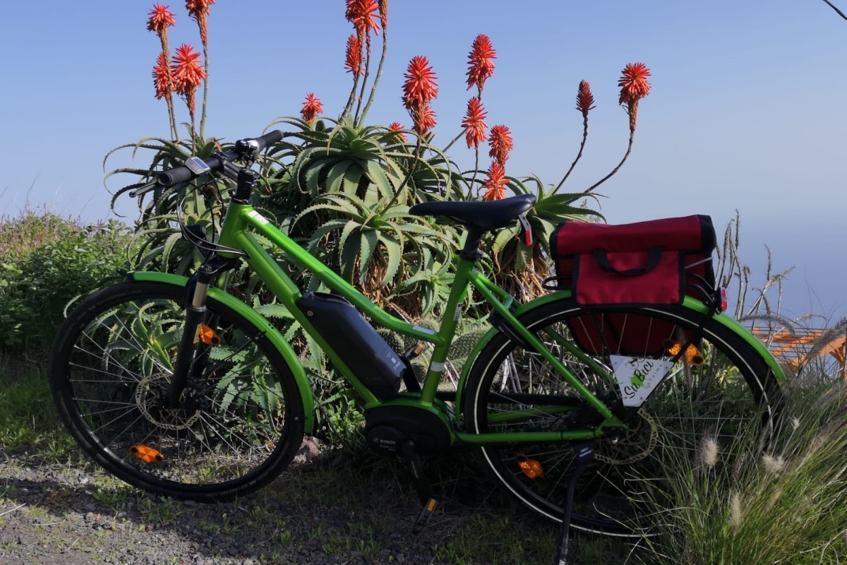 E-Bike Orientation Tour of La Palma