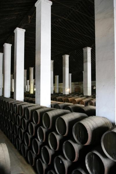 NEW Rare Barrel Tastings & Gourmet Lunch at an 8-Generation Family-Owned Sherry Producer