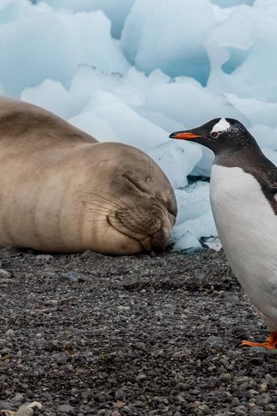 December to February