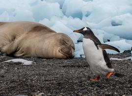 December to February