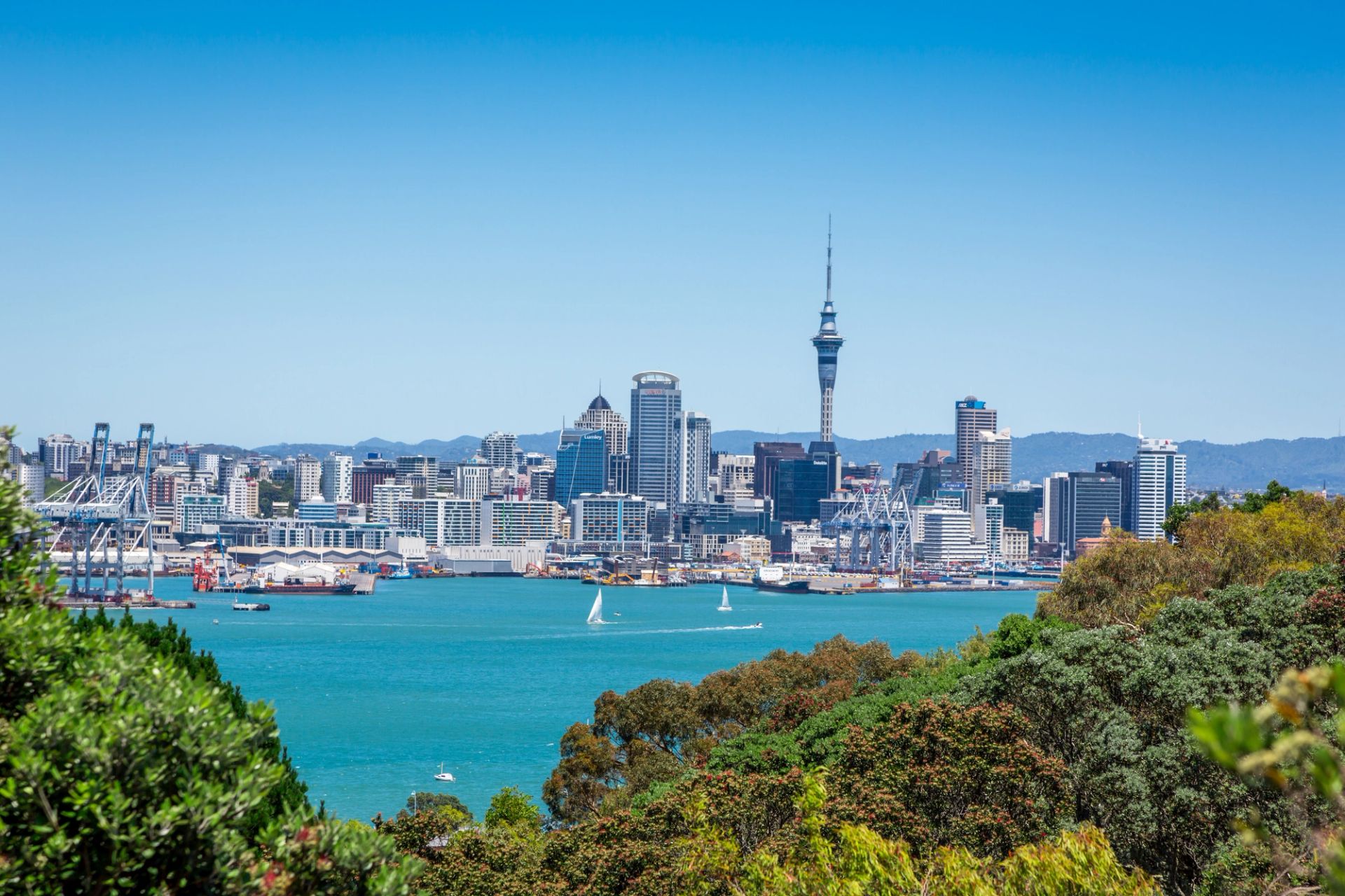 Auckland to Sydney