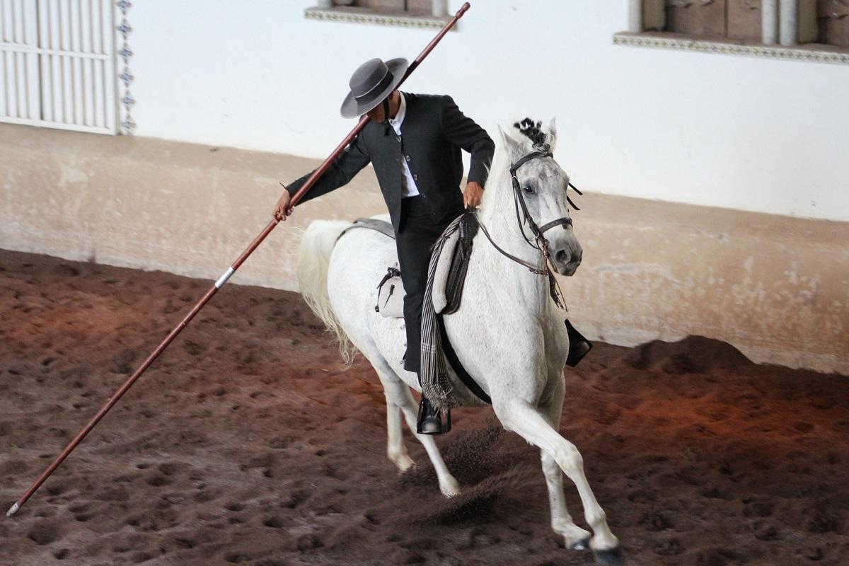 Andalusian Horse Show