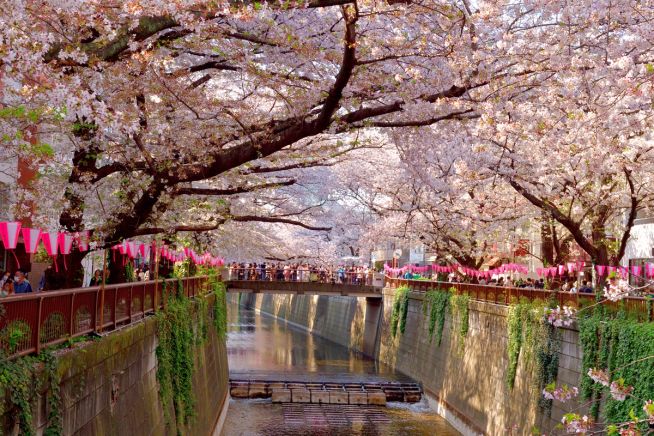Tokyo nach Tokyo