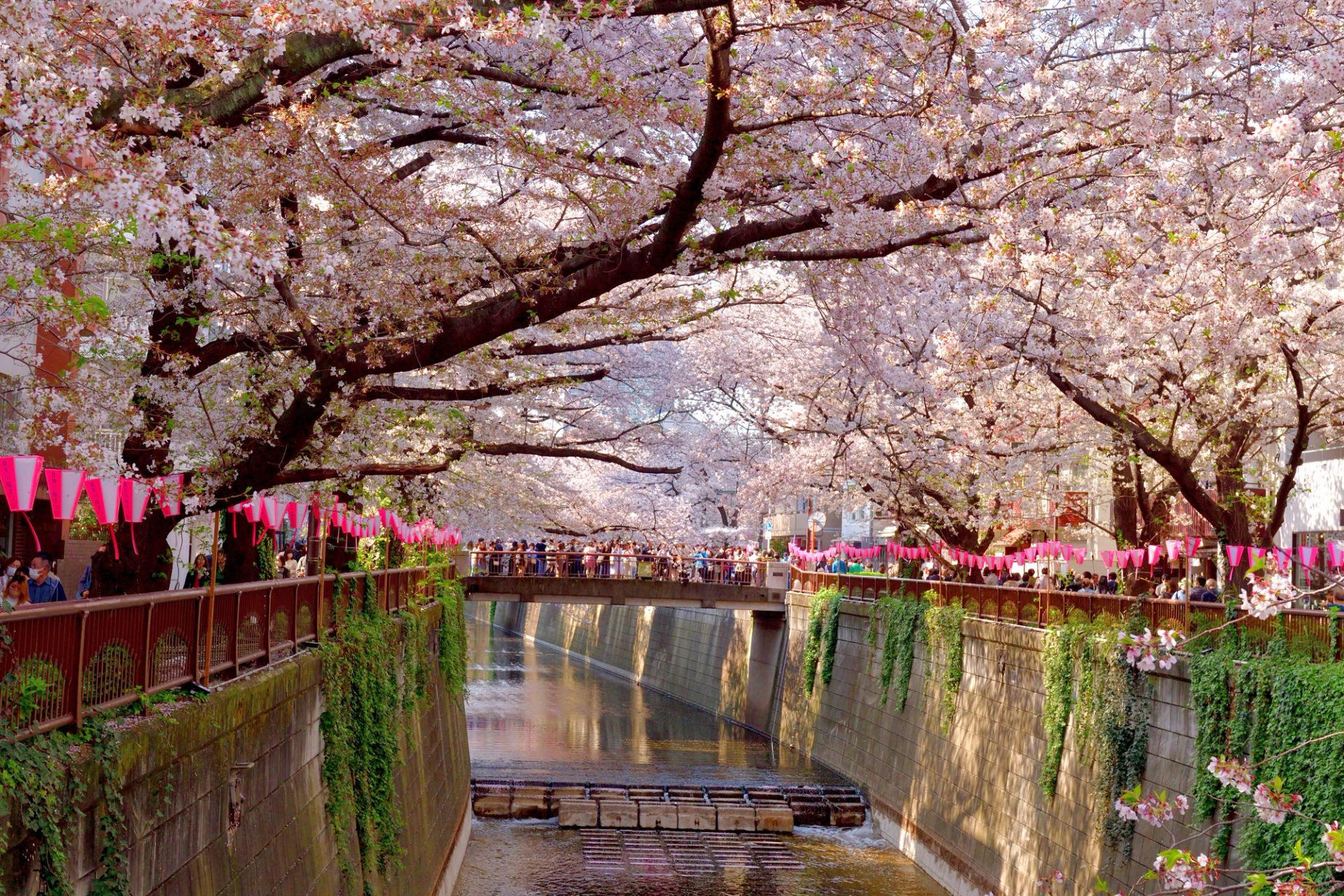 Tokyo à Tokyo