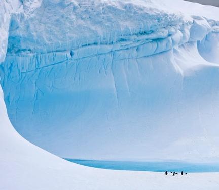 Cruise King George Island King George Island