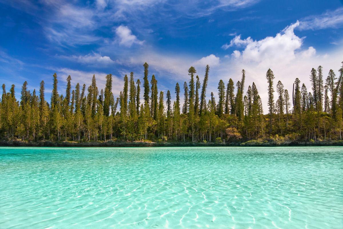 Pine Island