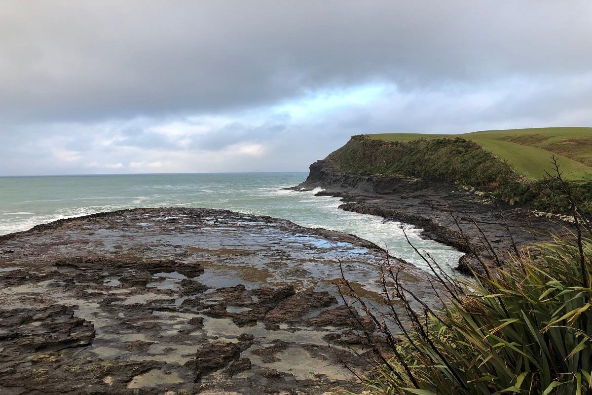 Catlins & Lake Edge Farm